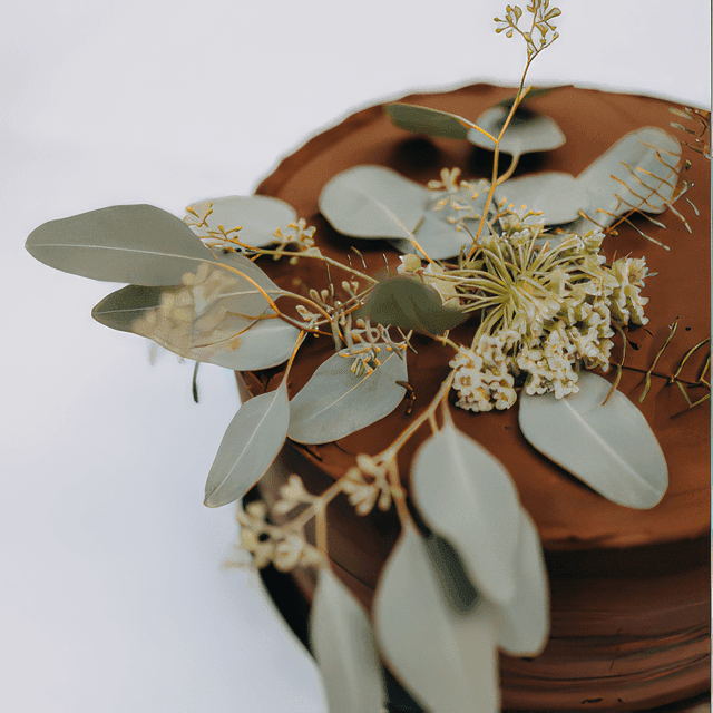 gastro1-topaz-standard v2-2x-min